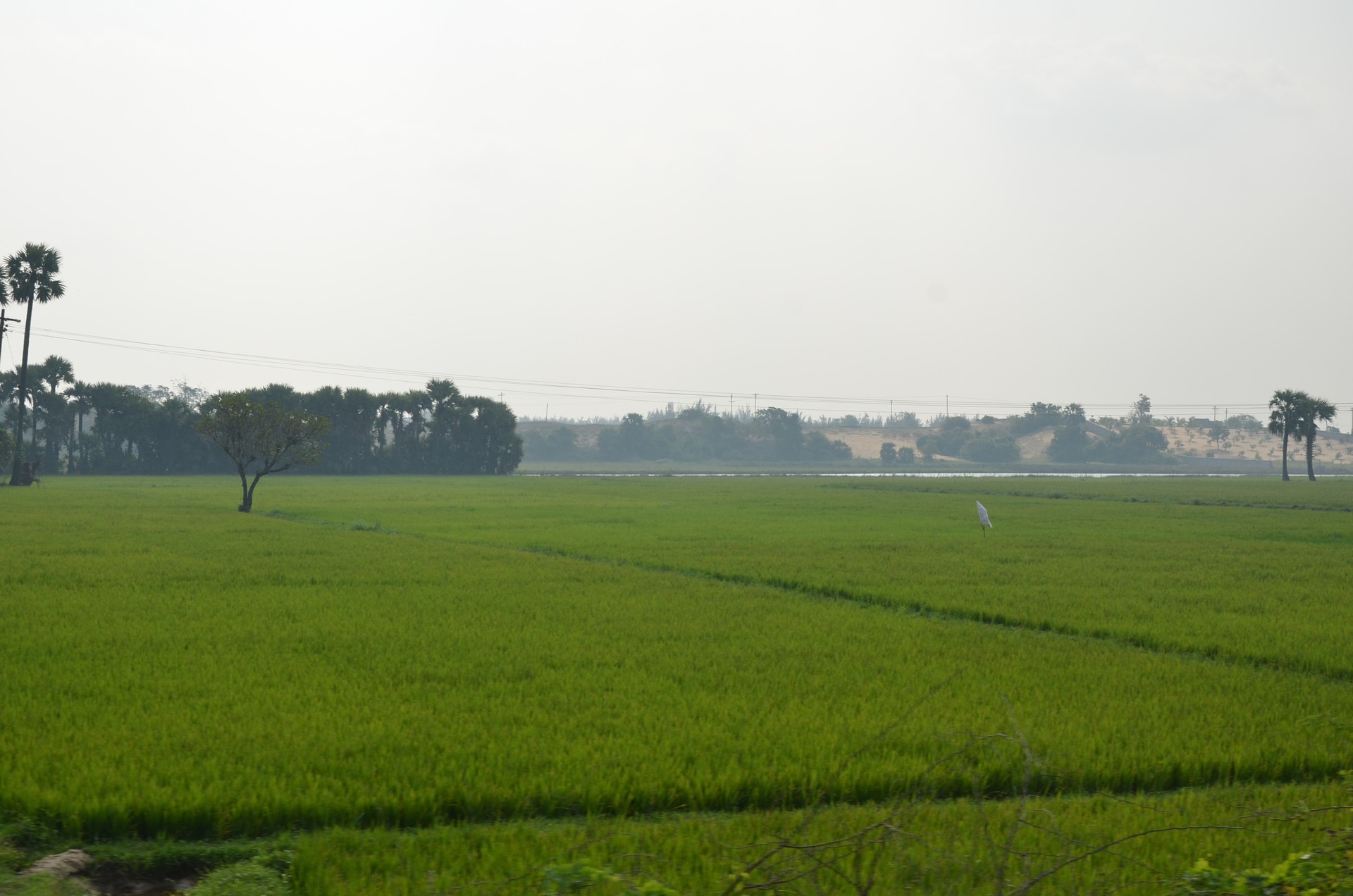 Way To Pondicherry cover